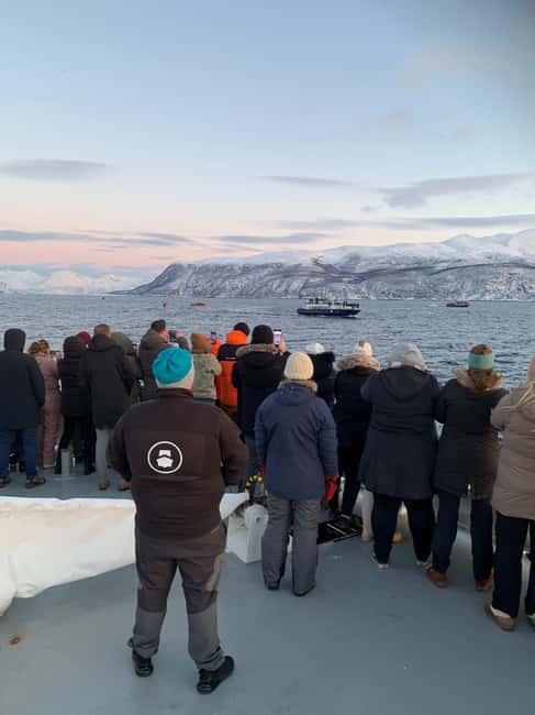 Tromsø Whale Safari with MS Keiser Wilhelm - The 6-hour rhythm, and how it stretches to 8 when whales are farther out