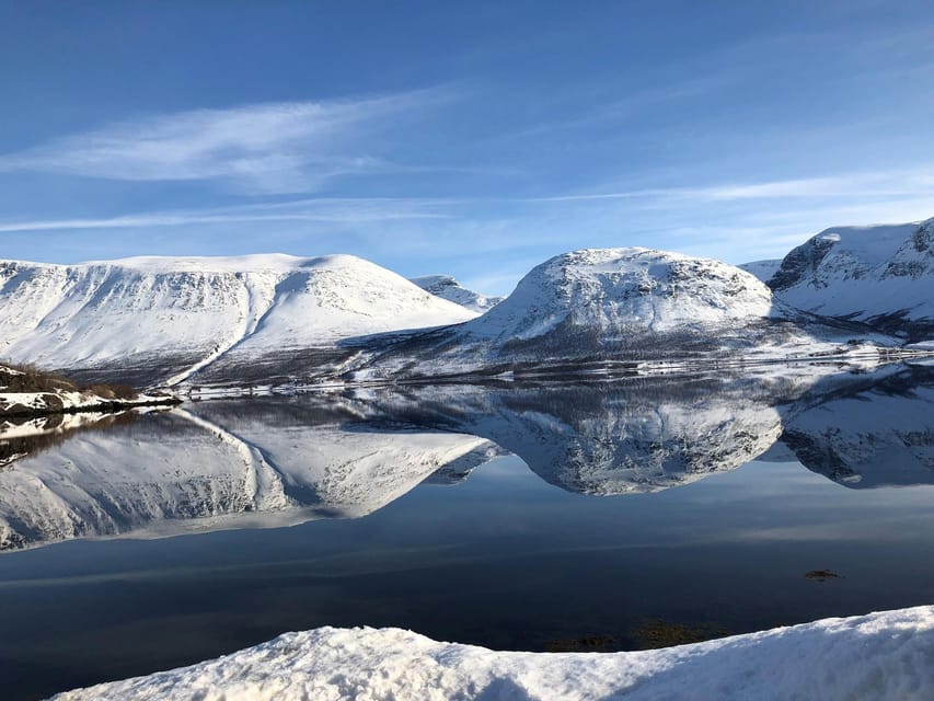 Tromsø Whale Safari with MS Keiser Wilhelm - What you’re likely to see: orcas, humpbacks, and more