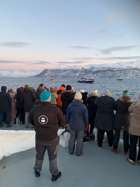 Tromsø Whale Safari with MS Keiser Wilhelm - Arctic sightseeing built into the same ticket