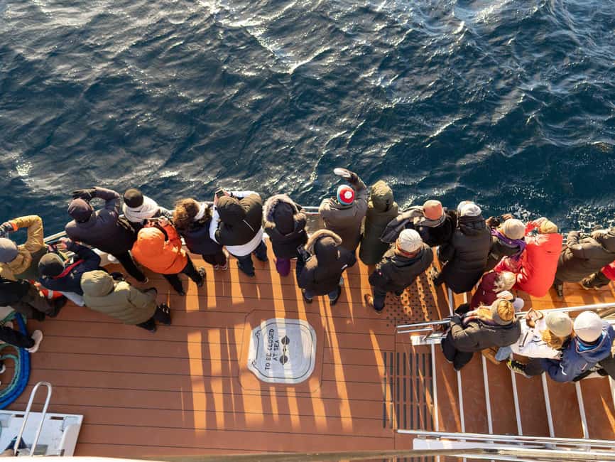 Tromsø: Whale Watching Tour by Hybrid-Electric Boat - Food and drinks onboard: plan for what’s included and what isn’t