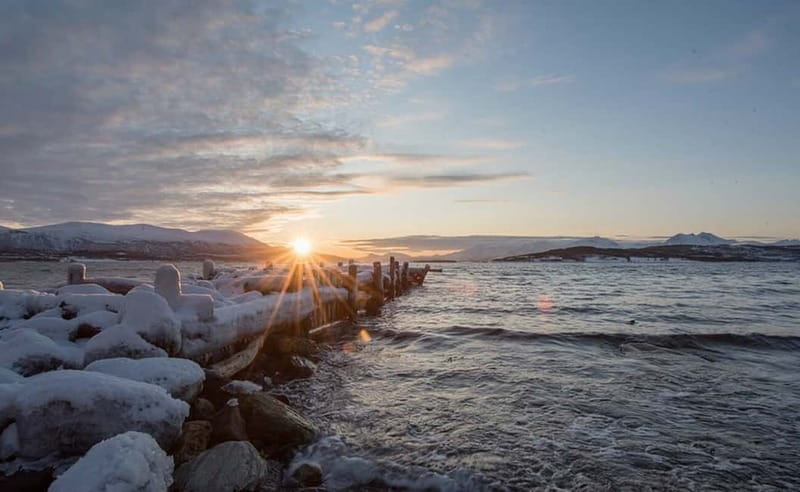 Tromsø: Winter Fjord Road Trip with Citizen Science - Key things I’d circle before you go