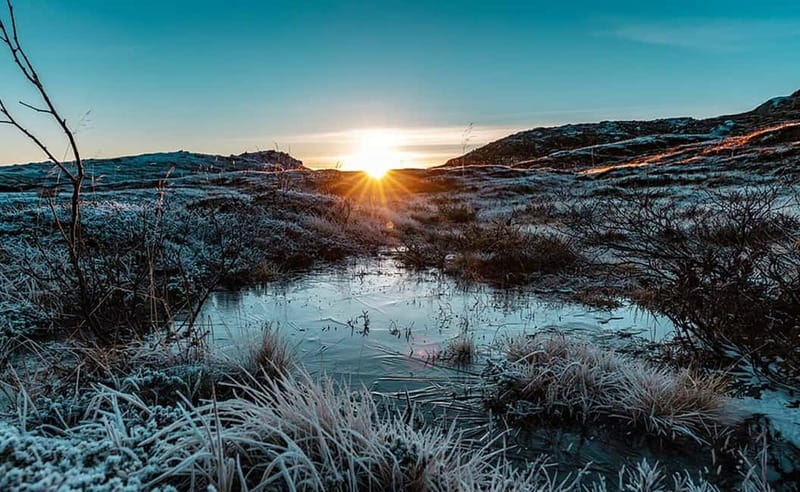 Tromsø: Winter Fjord Road Trip with Citizen Science - From Scandic Ishavshotel to the coast, west of Tromsø