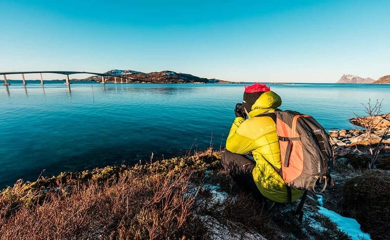 Tromsø: Winter Fjord Road Trip with Citizen Science - Wildlife spotting, with your odds tied to the day