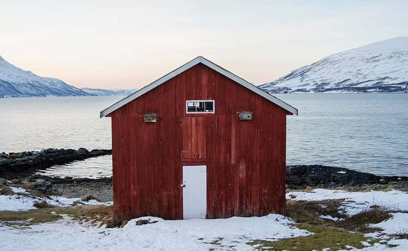 Tromsø: Winter Fjord Road Trip with Citizen Science - Stop rhythm and what walking really means
