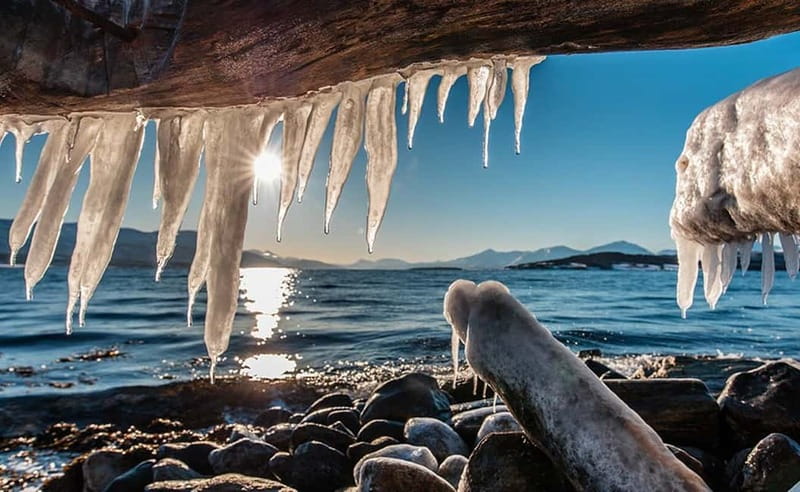 Tromsø: Winter Fjord Road Trip with Citizen Science - Price and value: what you get for $161 per person