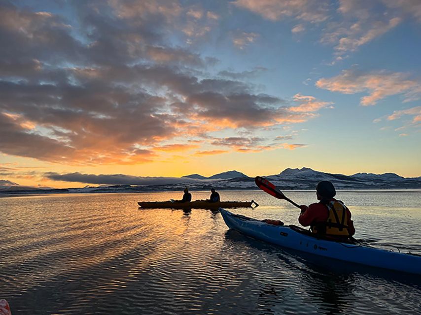 Tromsø: Winter Sea Kayaking Tour with Wildlife Sightings - Key highlights worth getting excited about
