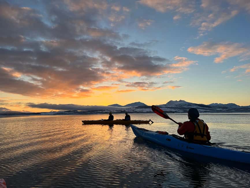 Tromsø: Winter Sea Kayaking Tour with Wildlife Sightings - Drysuit, safety briefing, and quick technique tips that boost confidence