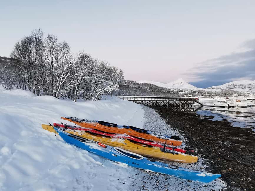 Tromsø: Winter Sea Kayaking Tour with Wildlife Sightings - Paddling snow-covered fjords, sounds, and islands