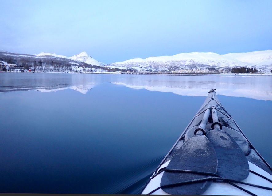 Tromsø: Winter Sea Kayaking Tour with Wildlife Sightings - Price and what you truly get for $191