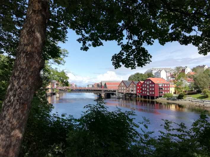 Trondheim : Explore the city of kings with a local guide - Why Trondheim feels royal fast, even on a 2-hour walk