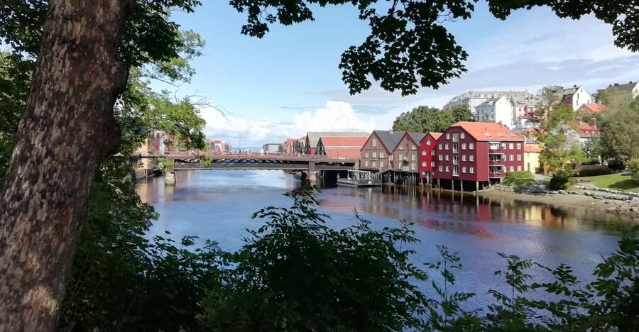 Trondheim : Explore the city of kings with a local guide - Price and value: what $54 gets you, and what it doesn’t