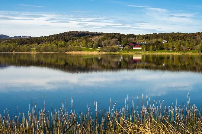 Trondheim Private Walking Tour with a Local - Walking Trondheim highlights, plus the stops people remember
