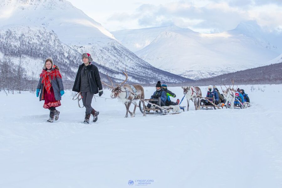 True Locals of the Arctic: Reindeer Sledding at Camp Tamok - Quick hits that matter