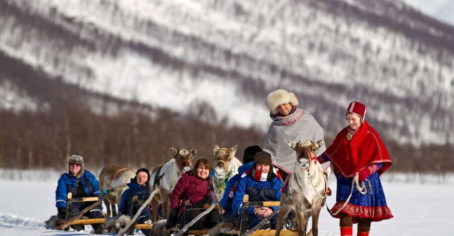 True Locals of the Arctic: Reindeer Sledding at Camp Tamok - Reindeer sledding: gentle speed, real contact, and Sami storytelling
