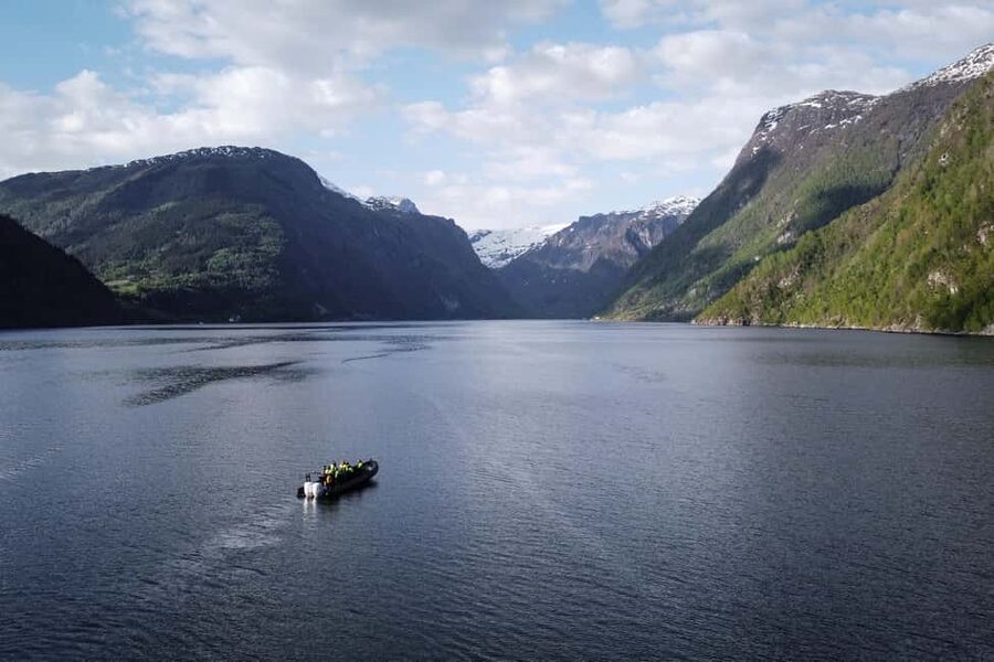 Ulvik adventure: Exploring Hardangerfjord's Osafjord by RIB - Why This Ulvik RIB Ride Works So Well