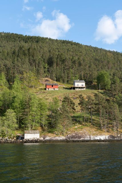 Ulvik adventure: Exploring Hardangerfjord's Osafjord by RIB - Entering Osafjord’s 13 km Branch