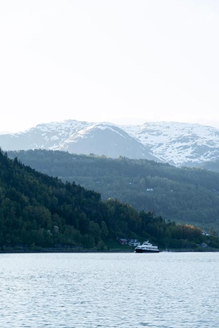 Ulvik adventure: Exploring Hardangerfjord's Osafjord by RIB - Price and Value: About $78 for an Hour of Hardangerfjord