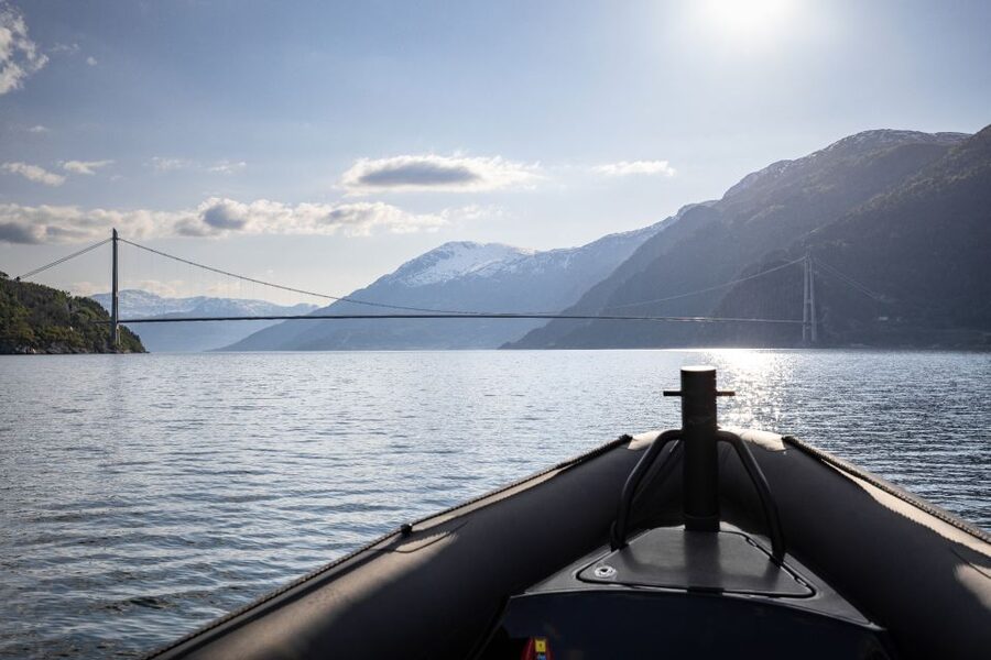 Ulvik: Hardangerfjord Ultimate RIB Tour - Who should book, and who should skip this RIB safari