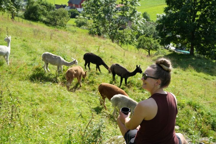 Vik i Sogn: Authentic Farm Visit - Key points I’d plan around