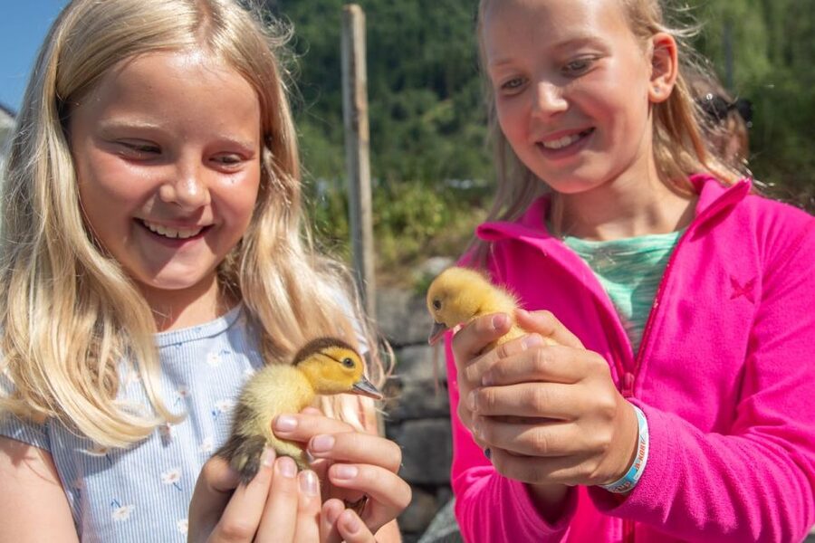 Vik i Sogn: Authentic Farm Visit - Steim Farm in Vik i Sogn: What Makes It Feel Authentic