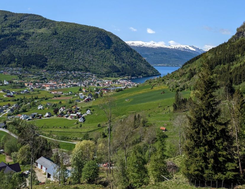 Vik i Sogn: Authentic Farm Visit - Finding the Meeting Point by the Grey House