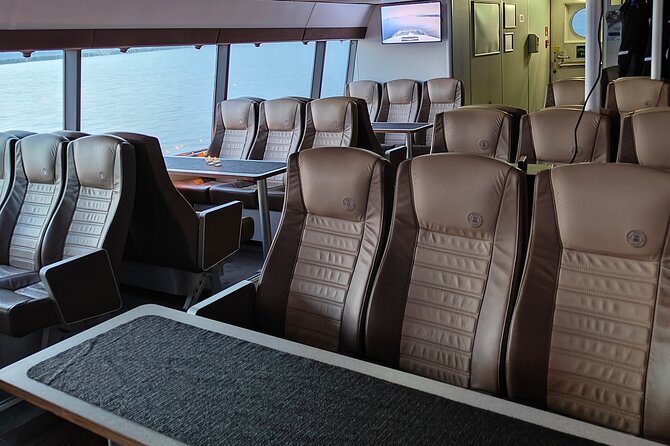 Whale Safari in Tromso - The catamaran experience: comfort, WiFi, and the reality of deck crowds