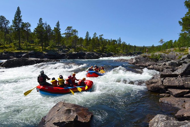 White Water Rafting Adventure in Dagali - level 2 - Key Highlights You’ll Actually Care About