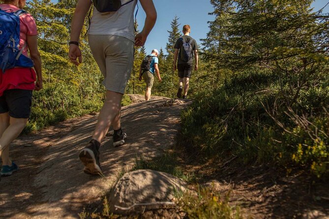 Wildlife Forest Hike - Key highlights to look for