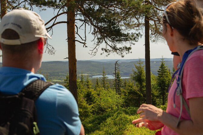Wildlife Forest Hike - Why this Oslo forest feels wilder than you expect