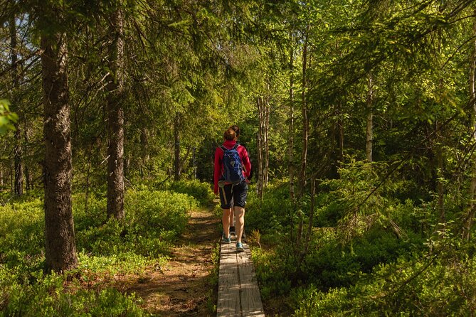 Wildlife Forest Hike - Price and value: what $65 covers in real terms