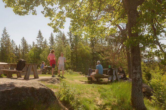 Wildlife Forest Hike - What to bring: boots, layers, and a smart snack plan