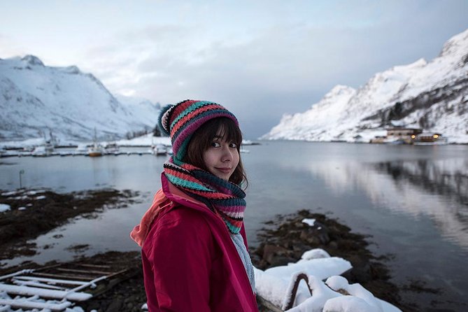 Winter Fjord Road Trip with Wandering Owl - Key things to know before you go