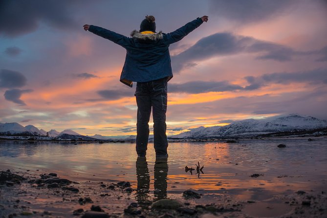 Winter Fjord Road Trip with Wandering Owl - Stop 2: Ersfjordbotn, where the views get dramatic