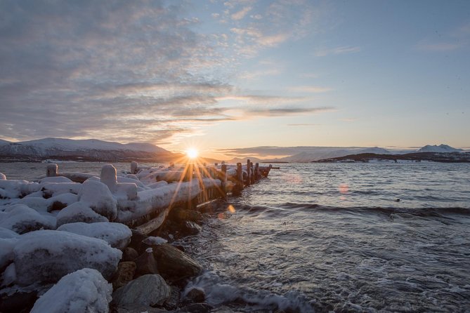 Winter Fjord Road Trip with Wandering Owl - Photo service: the souvenir you can actually use
