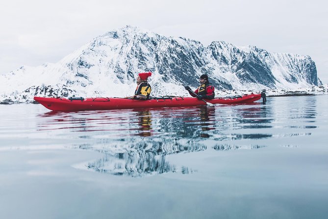 Winter Half Day Kayak Tour - Key things that make this winter kayak tour work