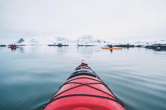 Winter Half Day Kayak Tour - Drysuits and safety briefing: the comfort and confidence combo
