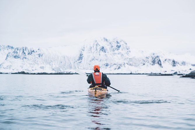 Winter Half Day Kayak Tour - Price and value: is $118.45 worth 3 hours?