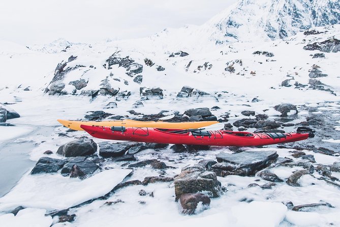 Winter Half Day Kayak Tour - Group size and timing: why max 10 travelers helps